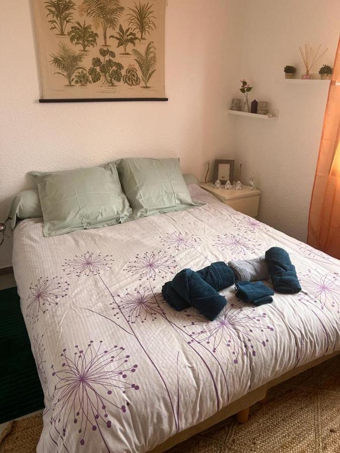 Superbe Appartement Avec Parking Prive Et Entree Autonome แรนส์ ภายนอก รูปภาพ